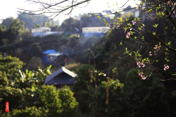 到四川成都旅游怎么联系当地导游,四川成都自由行导游需要多少钱